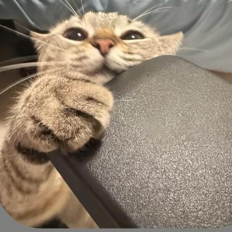 小微