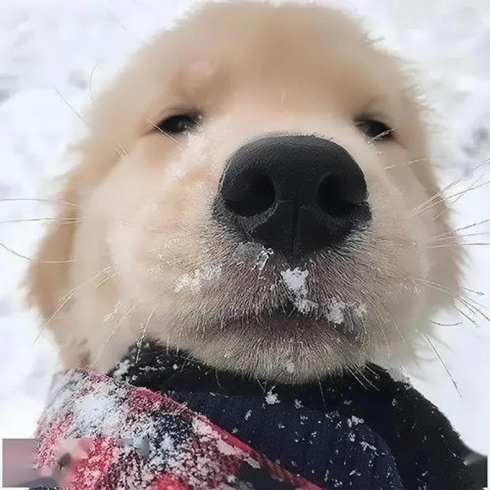 📷一个小勺包