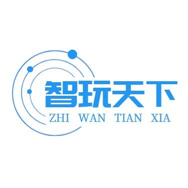 智玩天下