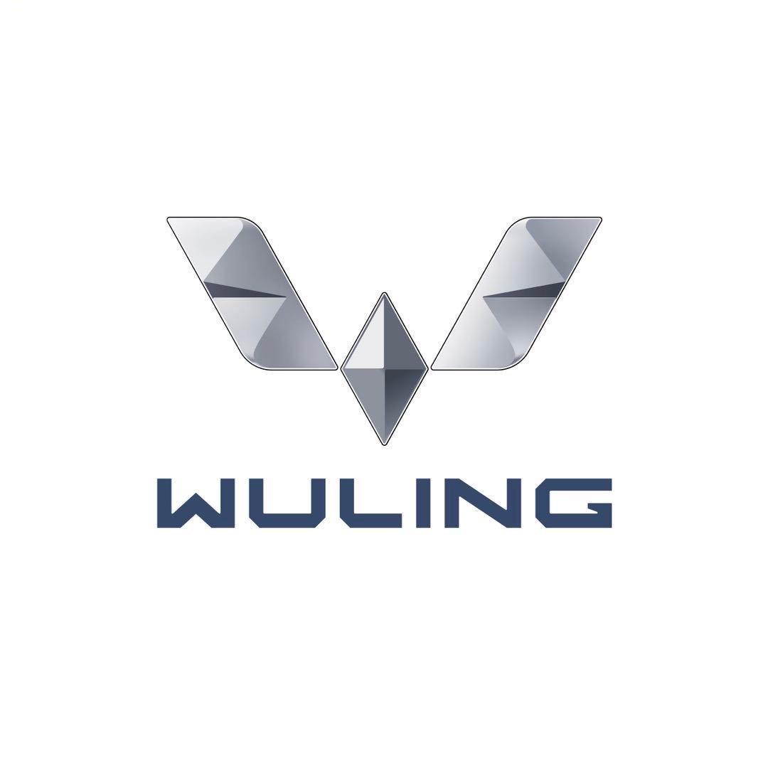 五菱宝骏汽车～琚立锋