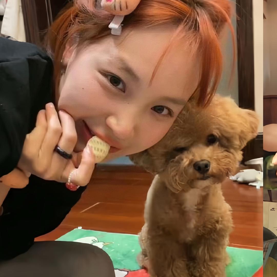 ㅤㅤㅤㅤㅤㅤ     1