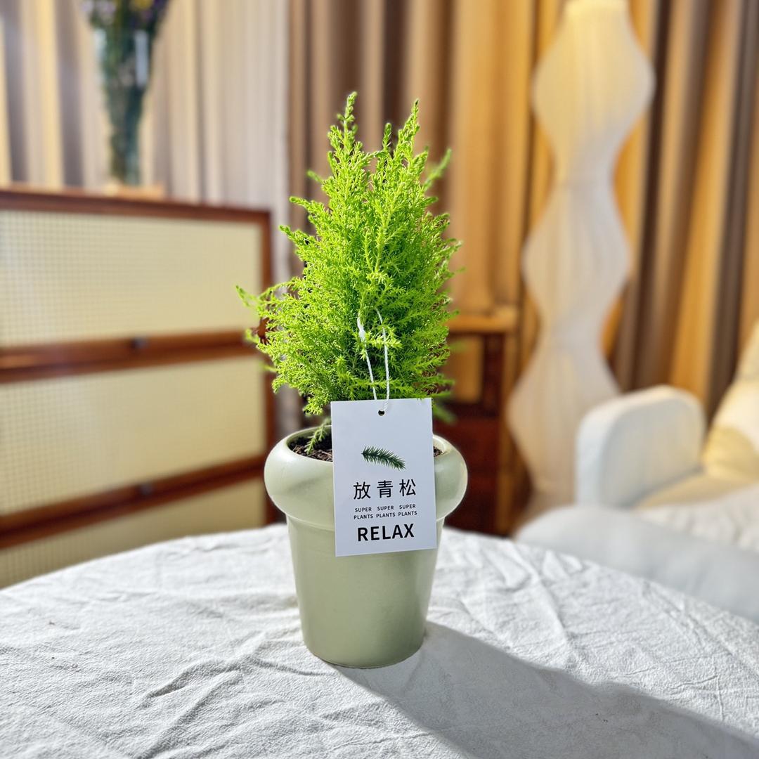 花草初相识