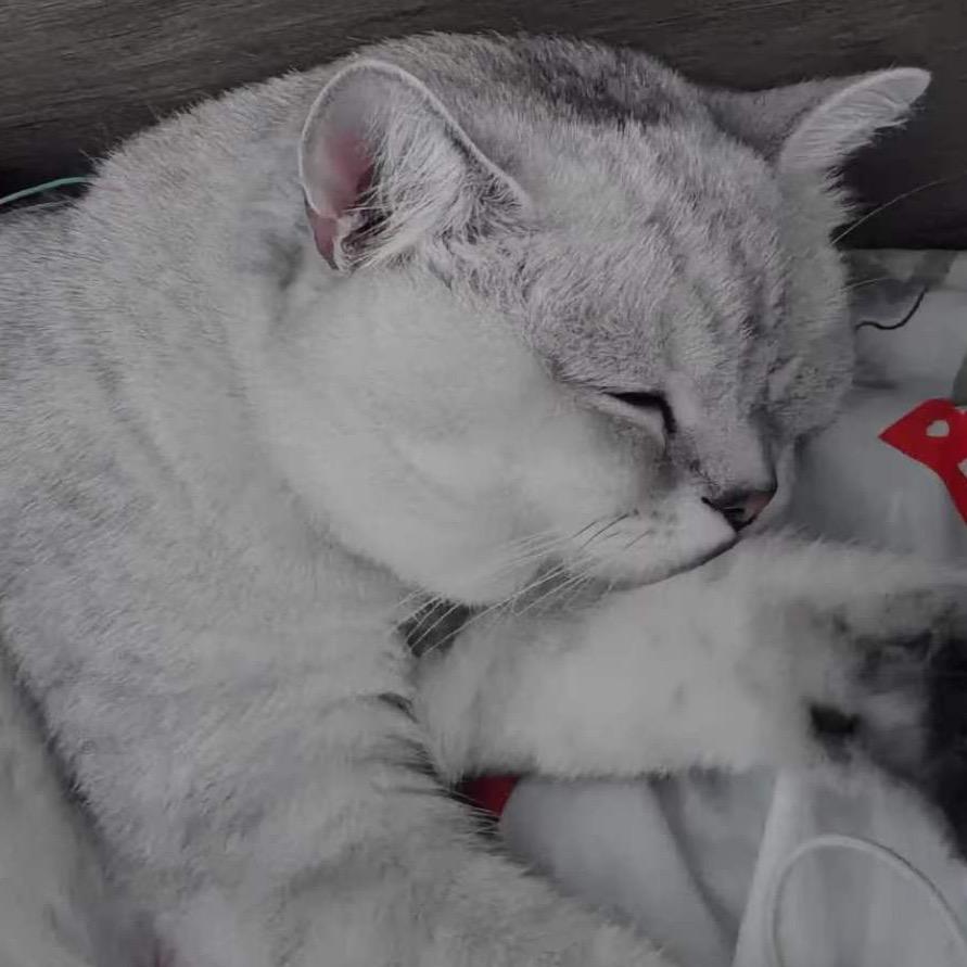 小可爸₂₀₂₁