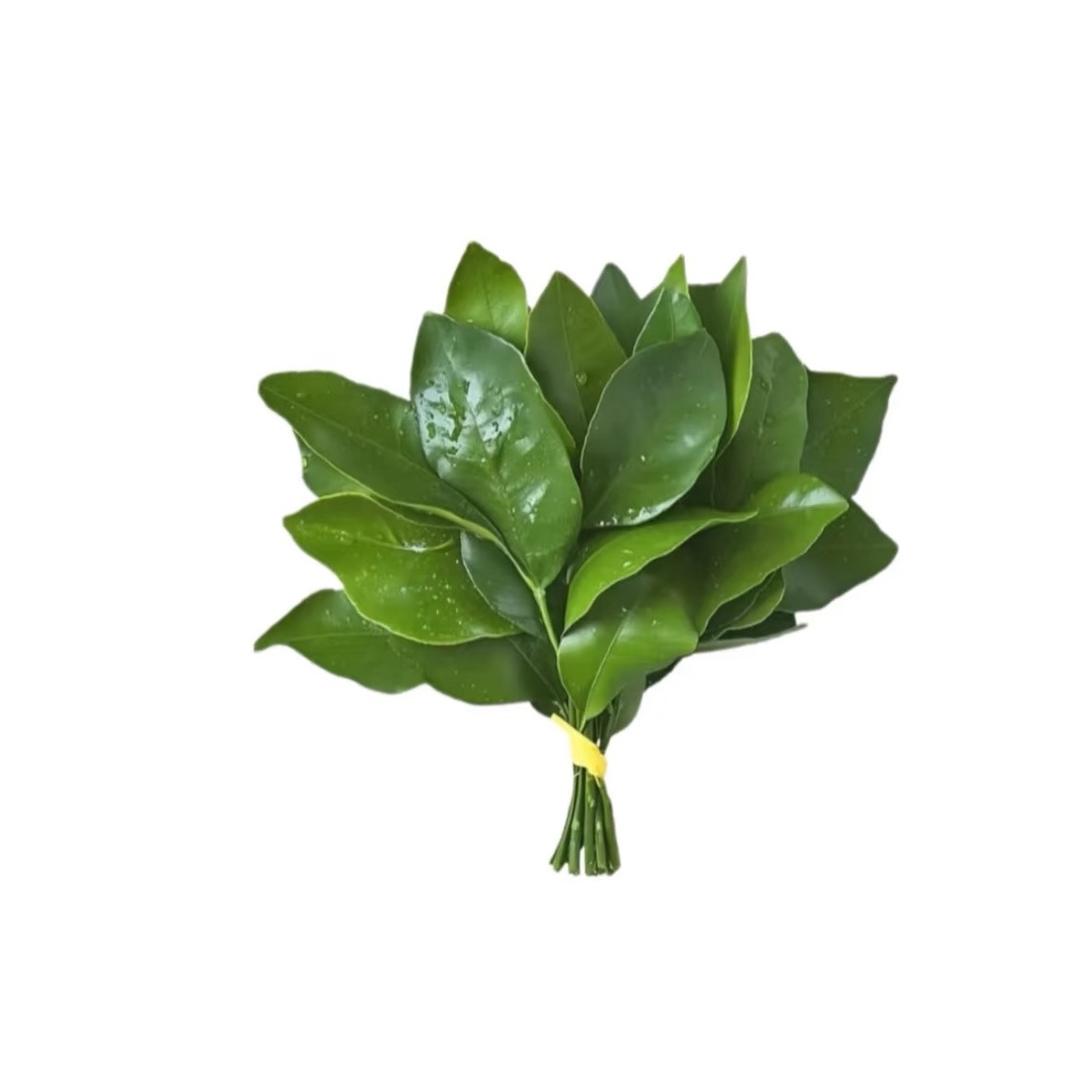 荷包蛋蛋蛋蛋