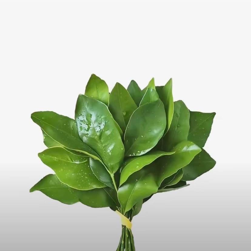 贝怡