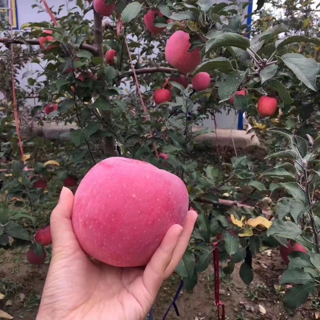 小溪啊
