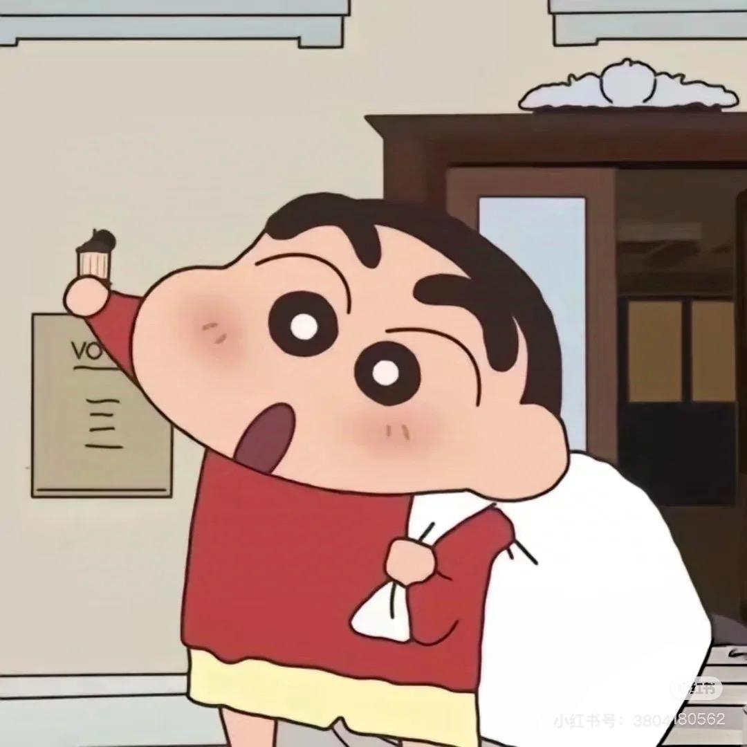 蜂鸟停在忍冬花上