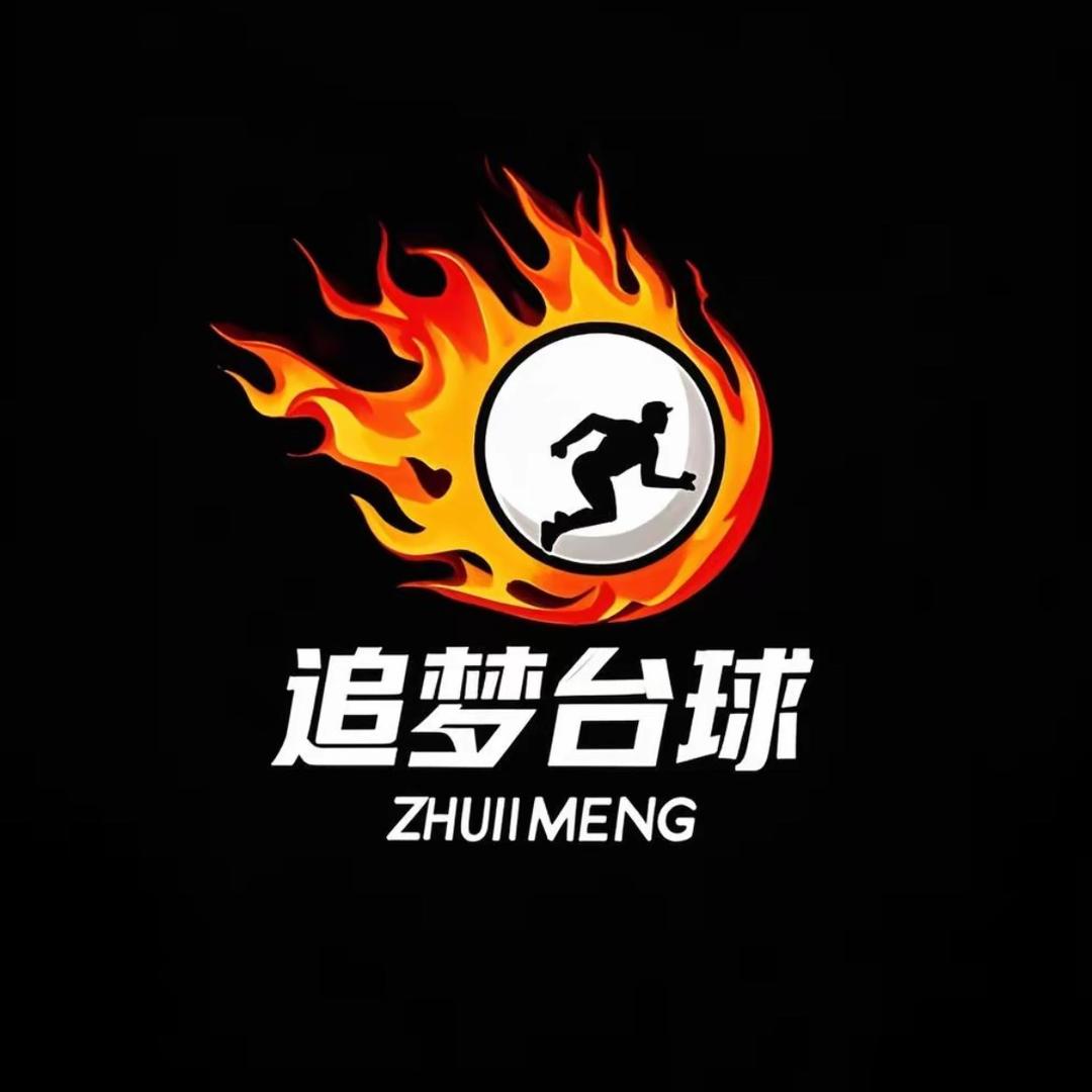 宝丰追梦台球