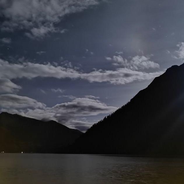 我不是猫不怕狗‼️