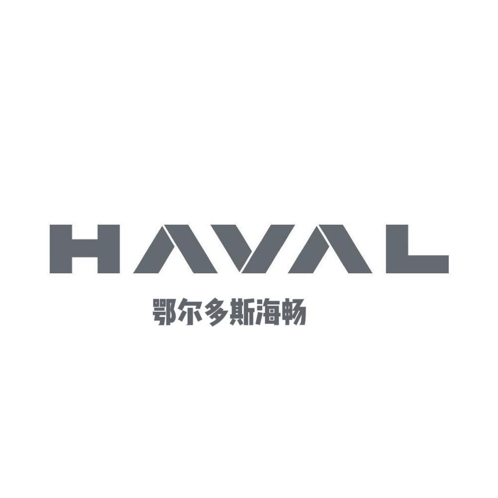 哈弗新能源 海畅店