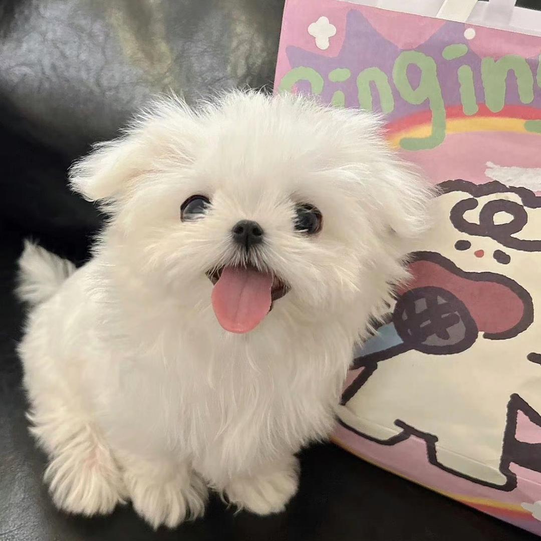 Y～