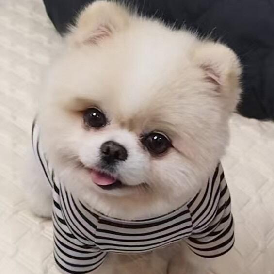 哇哇