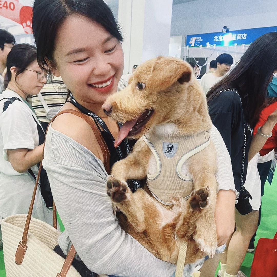 爱遛狗的小马爱唱歌
