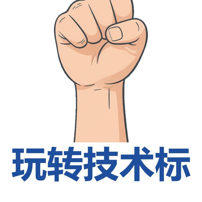 玩转技术标
