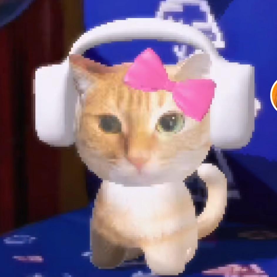 陈星星·金条·李哇哇