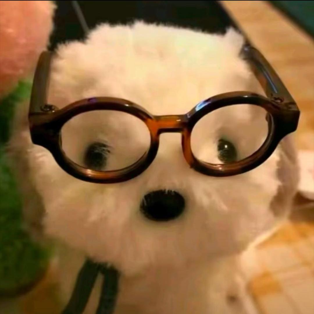 长春快乐专加—冬冬