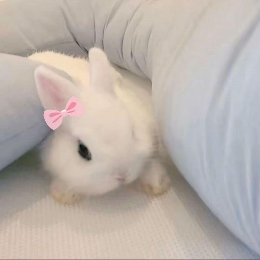 我一直在哭