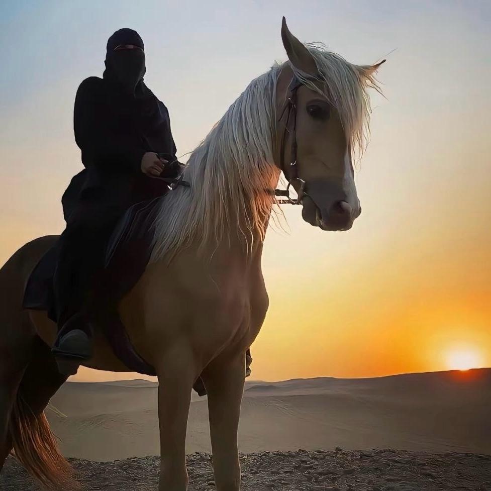 问鼎三国-奥斯卡