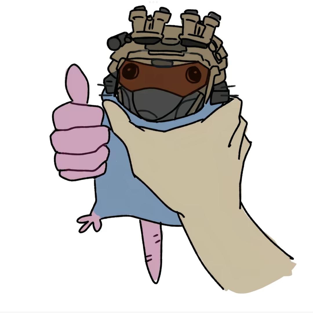 28ed