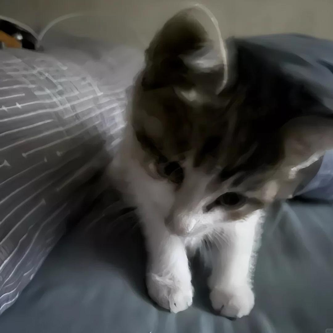 澈