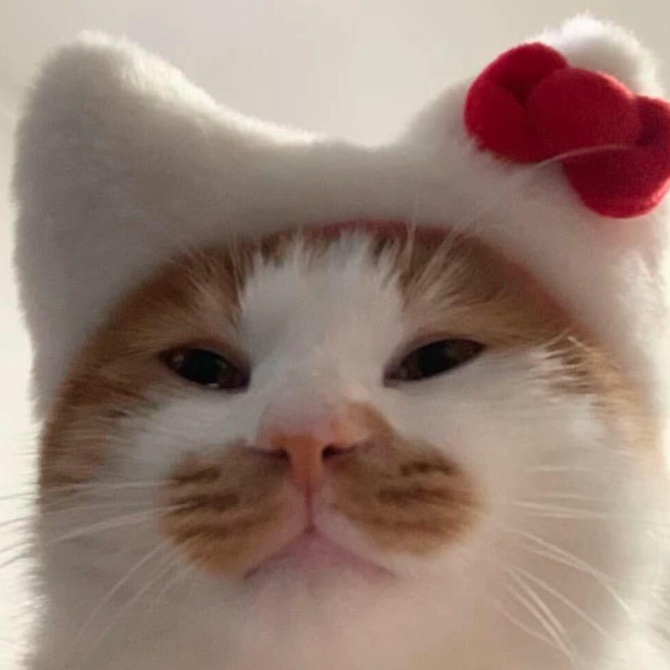 回家路上出了车祸卡在了排气管里