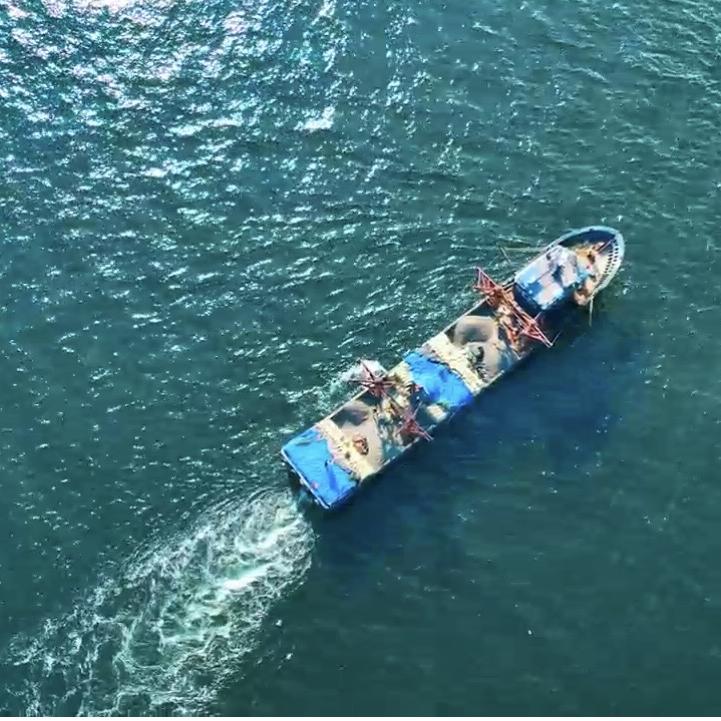 东港黄海水产品批发市场直营号