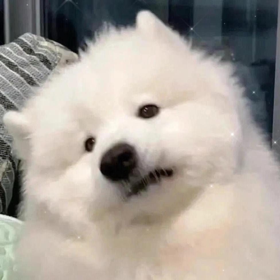 oo后龙湖打工日记