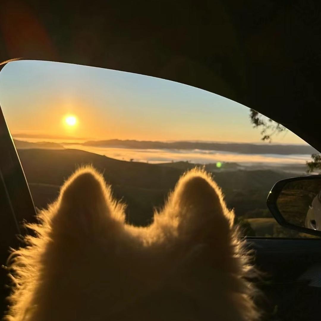 弱弱🍟