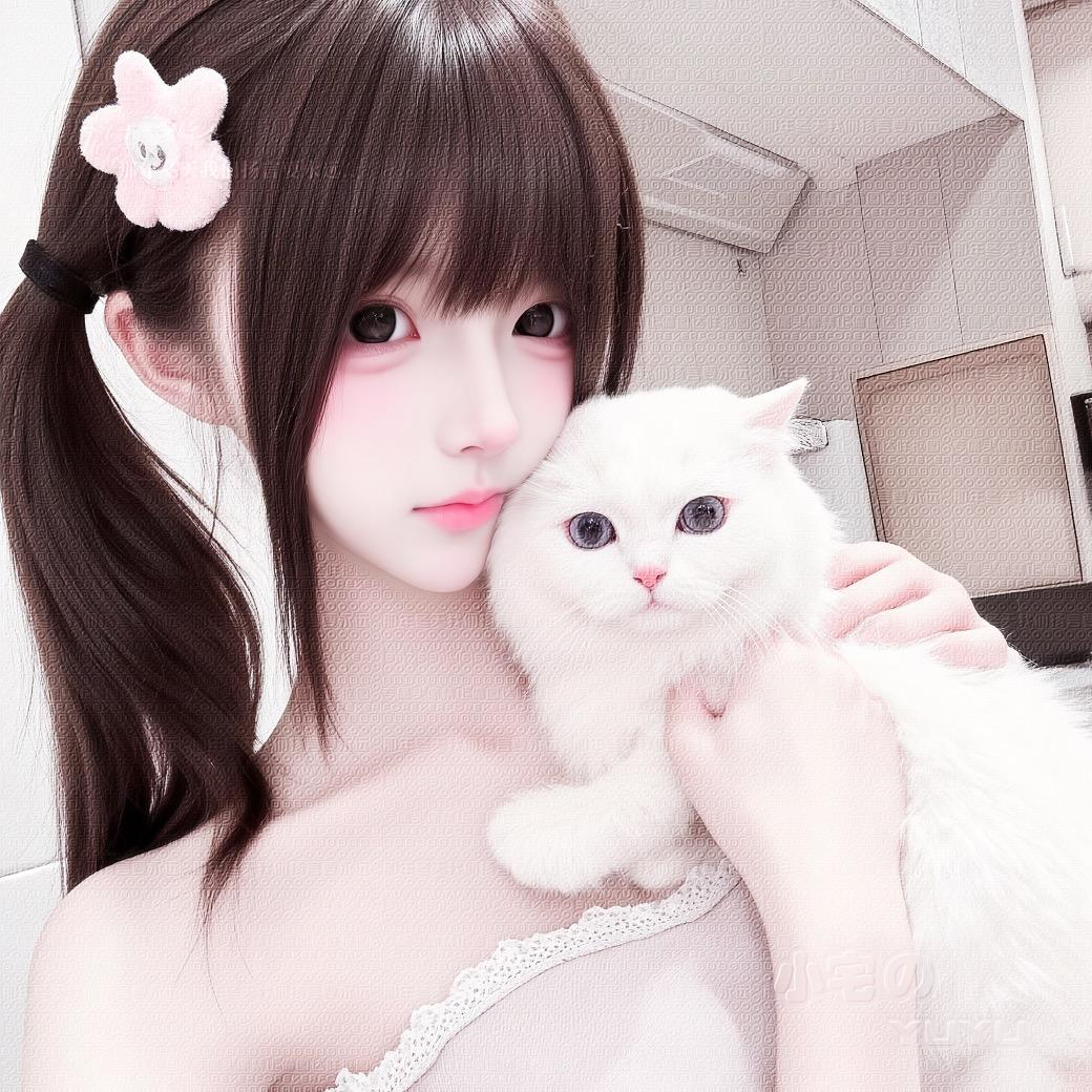 宅