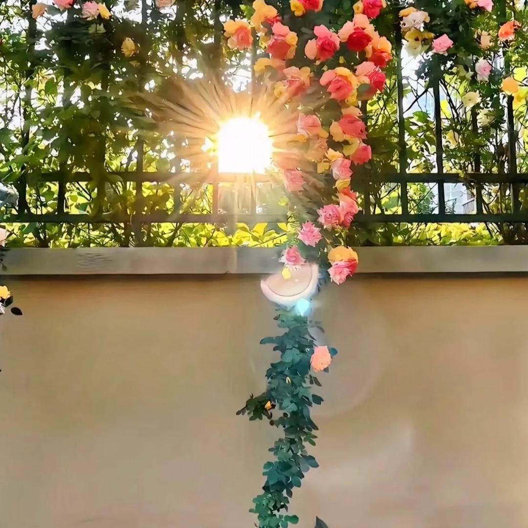 ❤️刘小护❤️