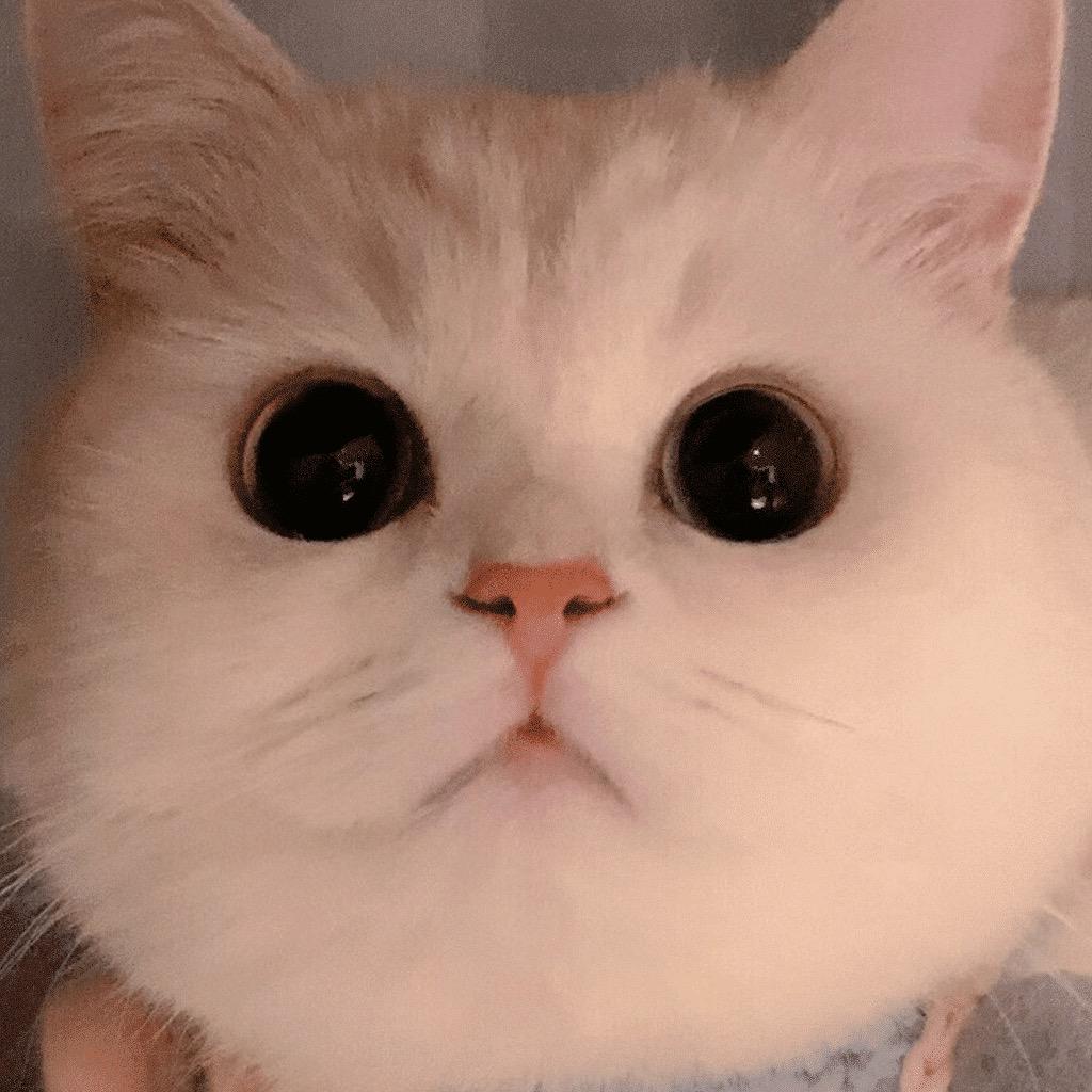 巧❤️