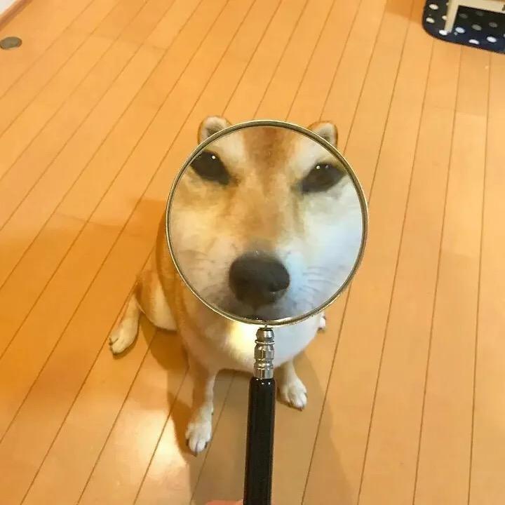 黄泉路的青衣头像