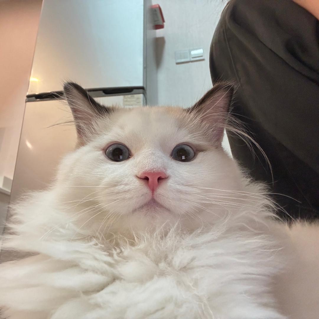 红动猩球运动馆-王嘉瑶