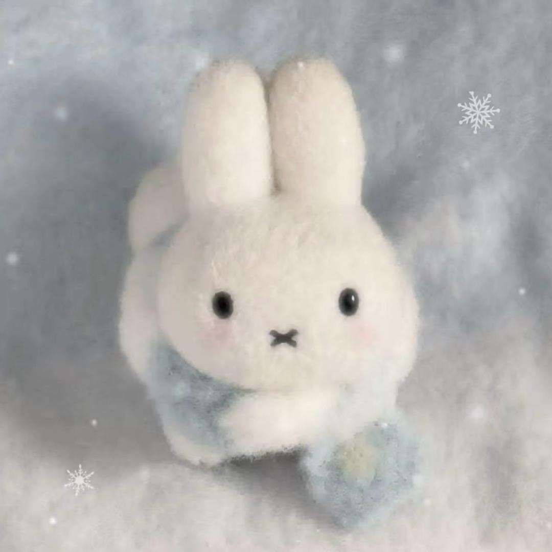 雨天下的小猫