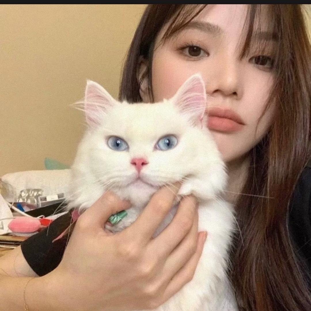 吃🥣螺狮粉