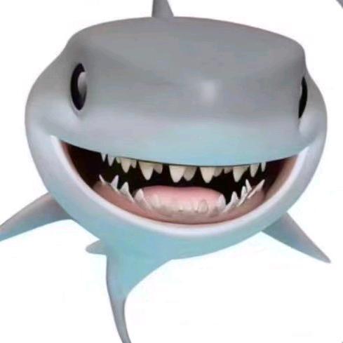小 鲨 鱼