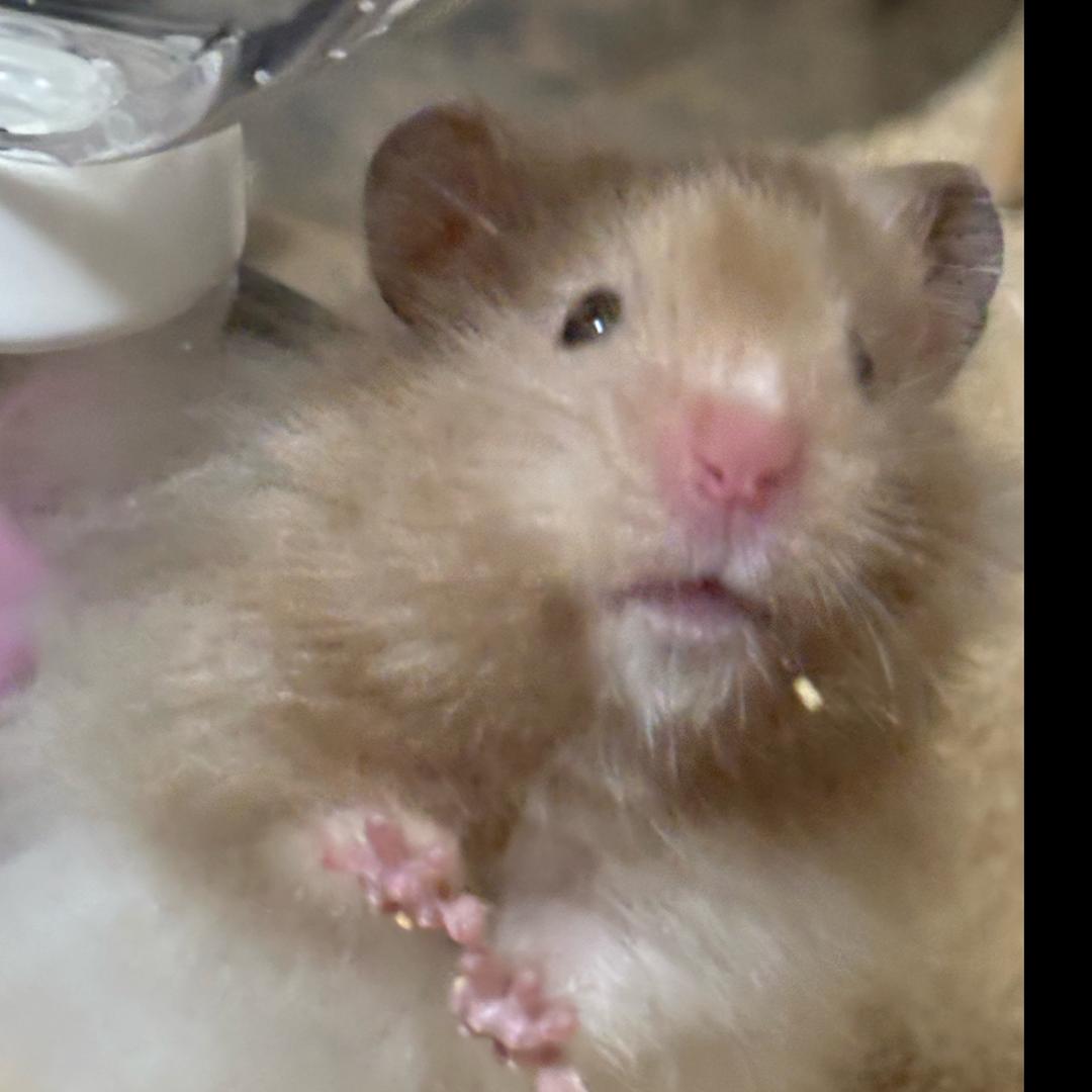 电子妈妈请大家关注宁波小洛熙事件👼