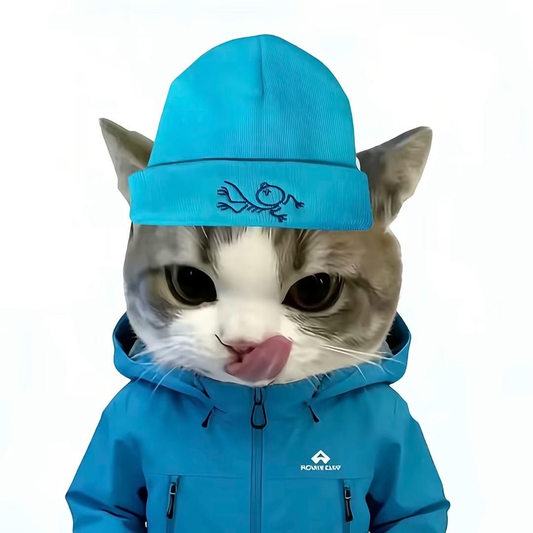 世界欠一个爱我的人