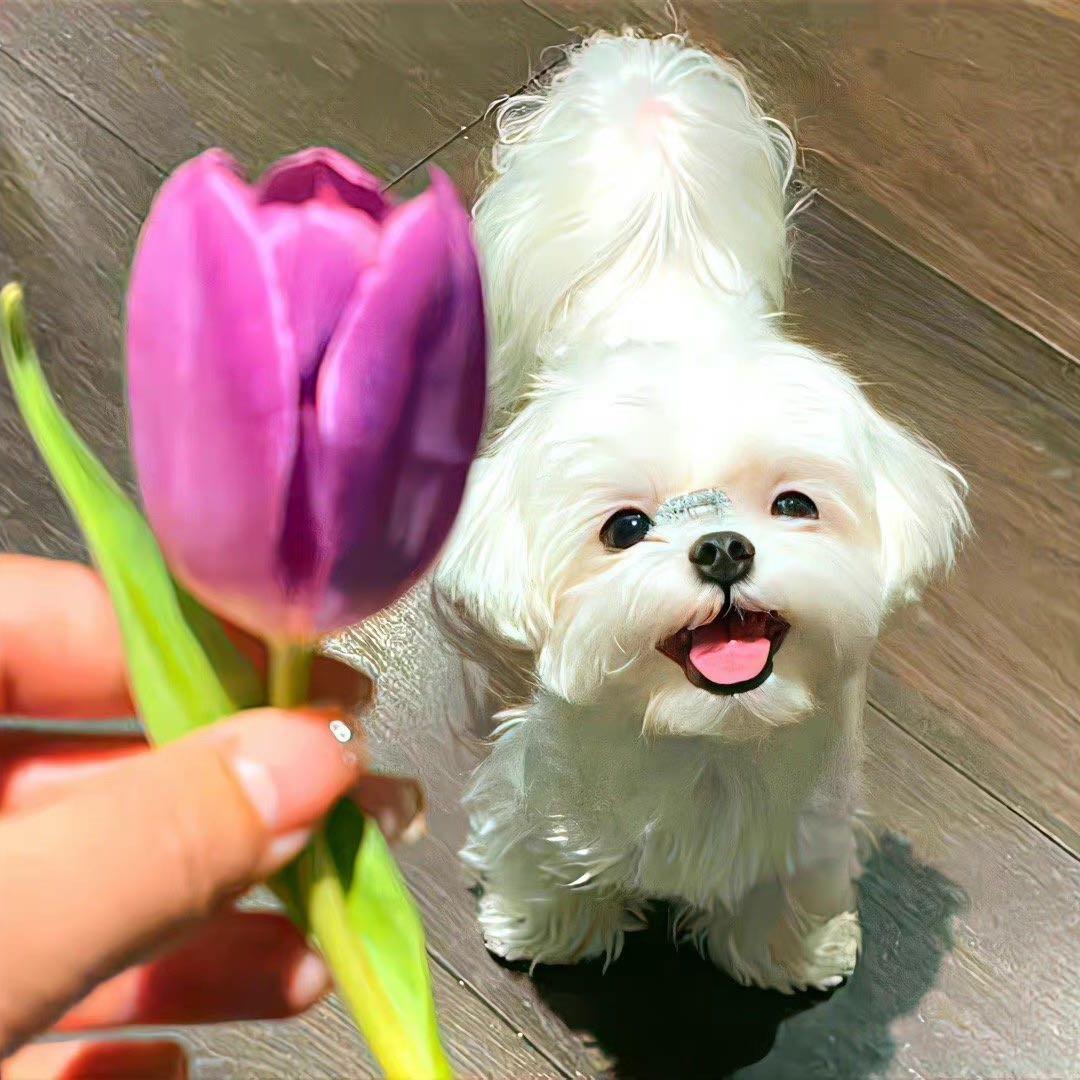 小凡不凡.