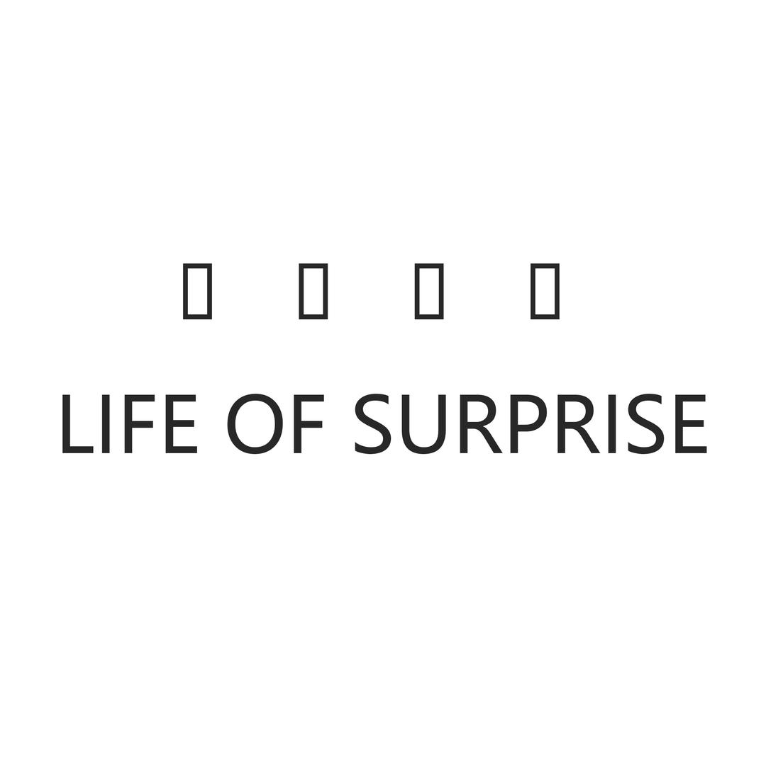 惊喜人生（包挂包配饰）