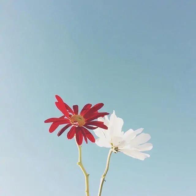 @玲儿