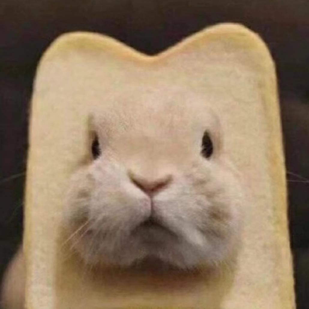 全麦🐰司