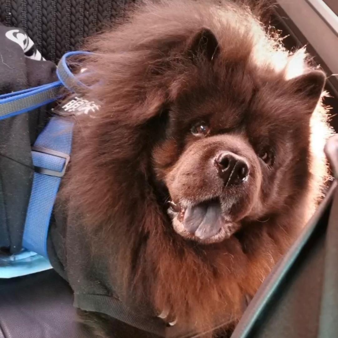 上上签🐟📈🦀️🍎