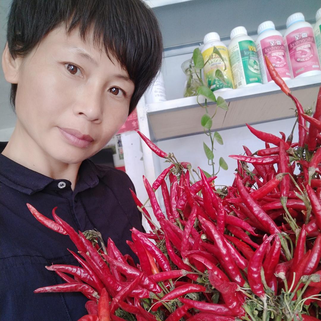 刘爱月农资