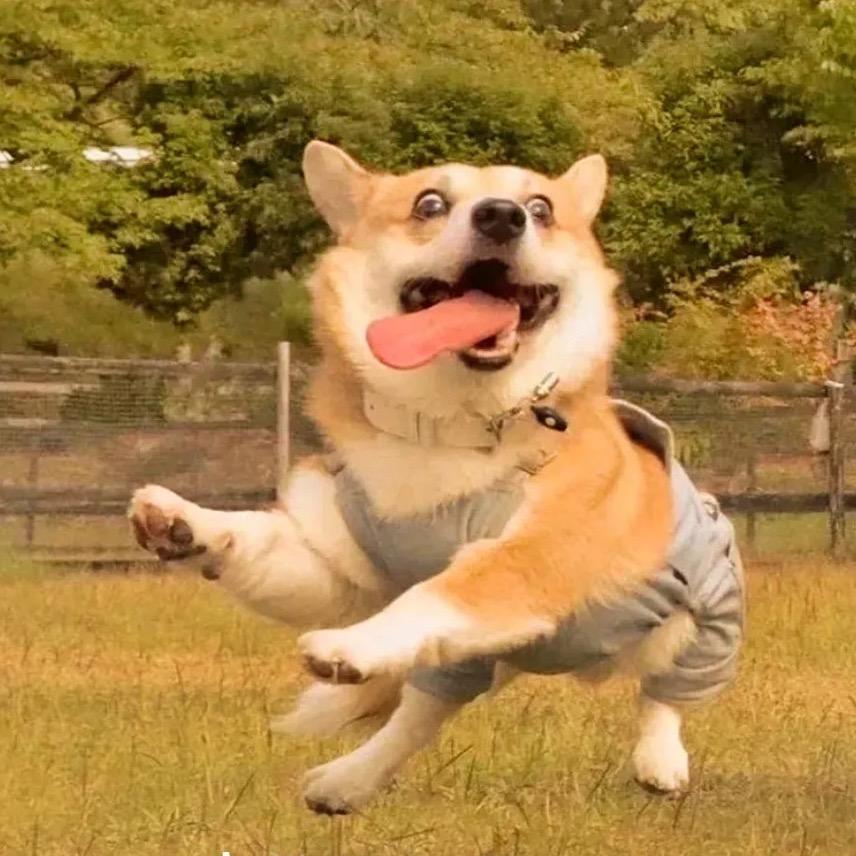 一件不刘