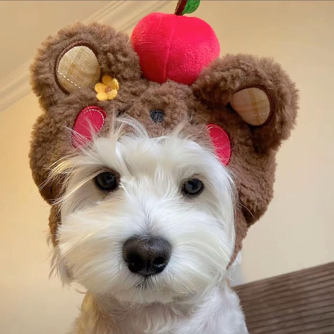 山顶洞人呵呵呵呵呵