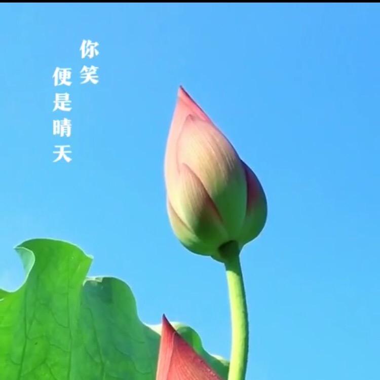 🌞🌻🍀那一缕阳光