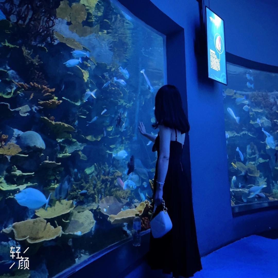 羽墨