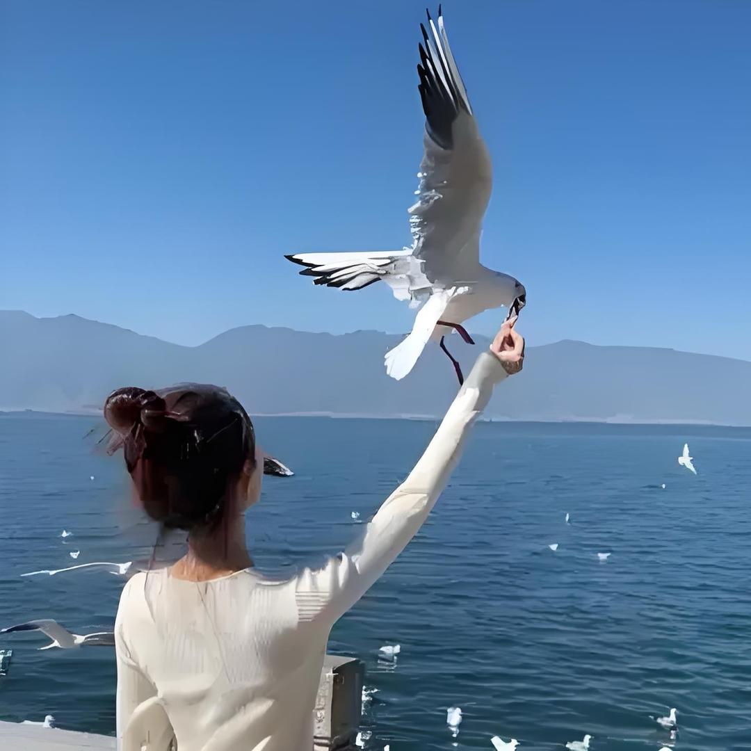 青禾三生一