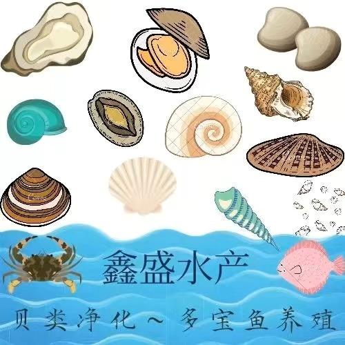 辽宁鑫盛水产